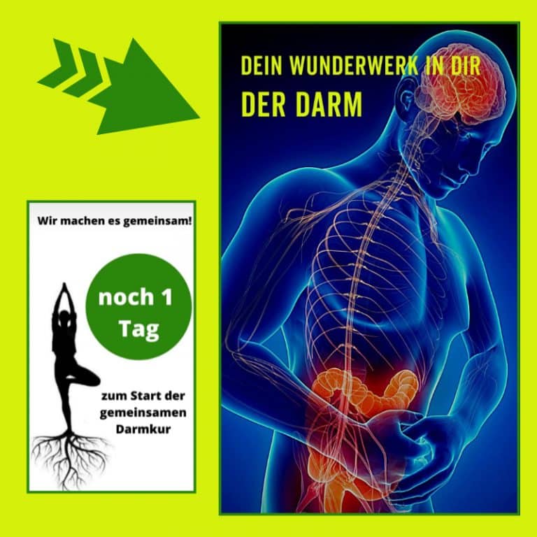 Darm-Challenge: Noch 1 Tag